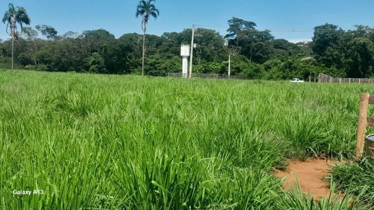 Sítio à venda de 4 ha em Santana da Ponte Pensa, SP, Brasil