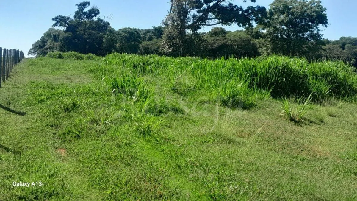 Sítio à venda de 4 ha em Santana da Ponte Pensa, SP, Brasil