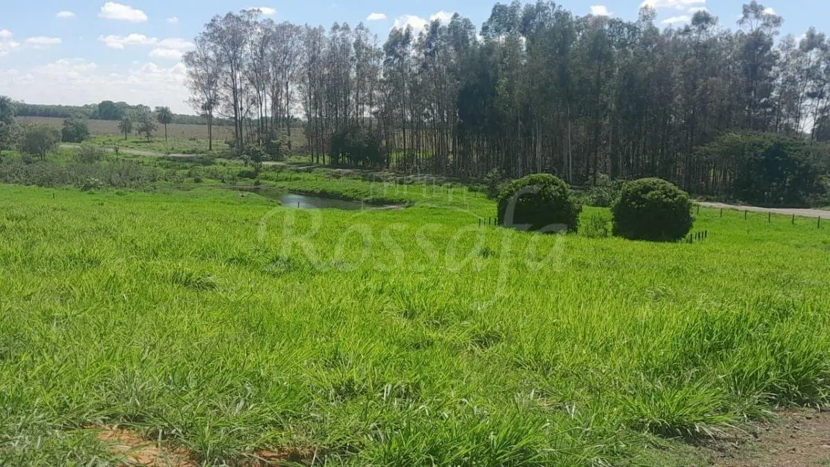Sítio à venda de 4 ha em Santana da Ponte Pensa, SP, Brasil