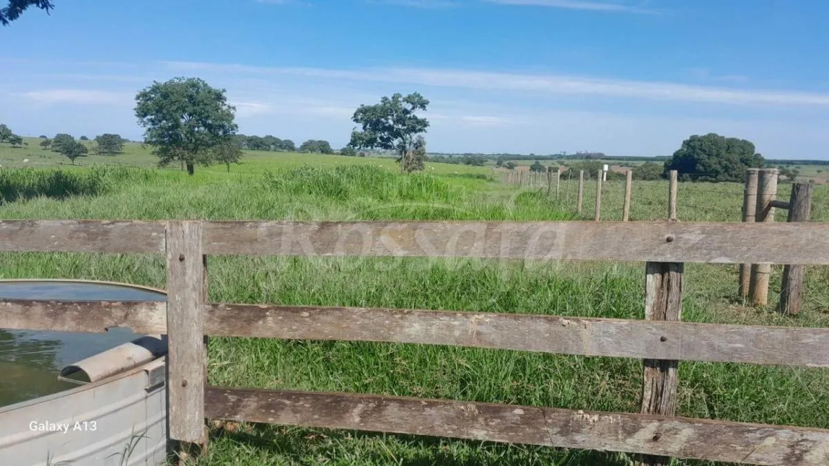 Sítio à venda de 4 ha em Santana da Ponte Pensa, SP, Brasil