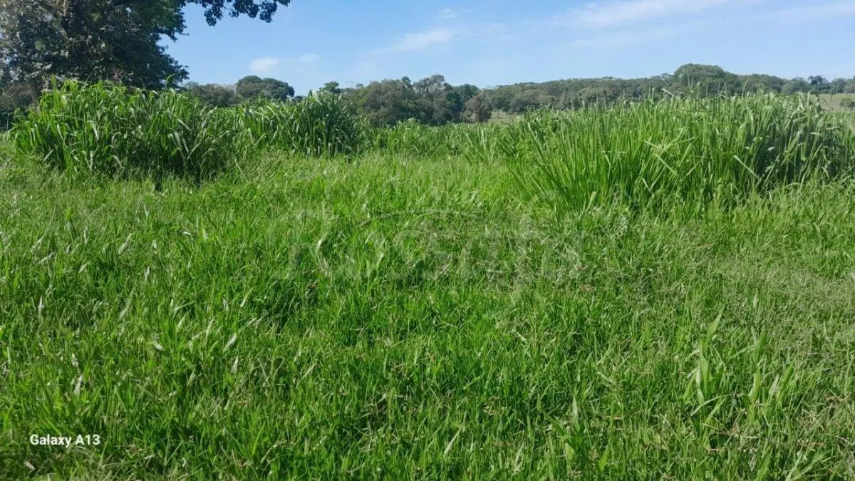 Sítio à venda de 4 ha em Santana da Ponte Pensa, SP, Brasil