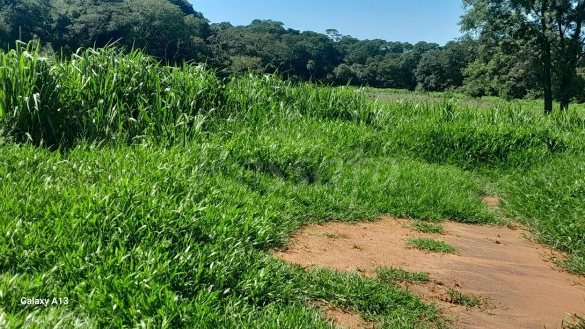 Sítio à venda de 4 ha em Santana da Ponte Pensa, SP, Brasil