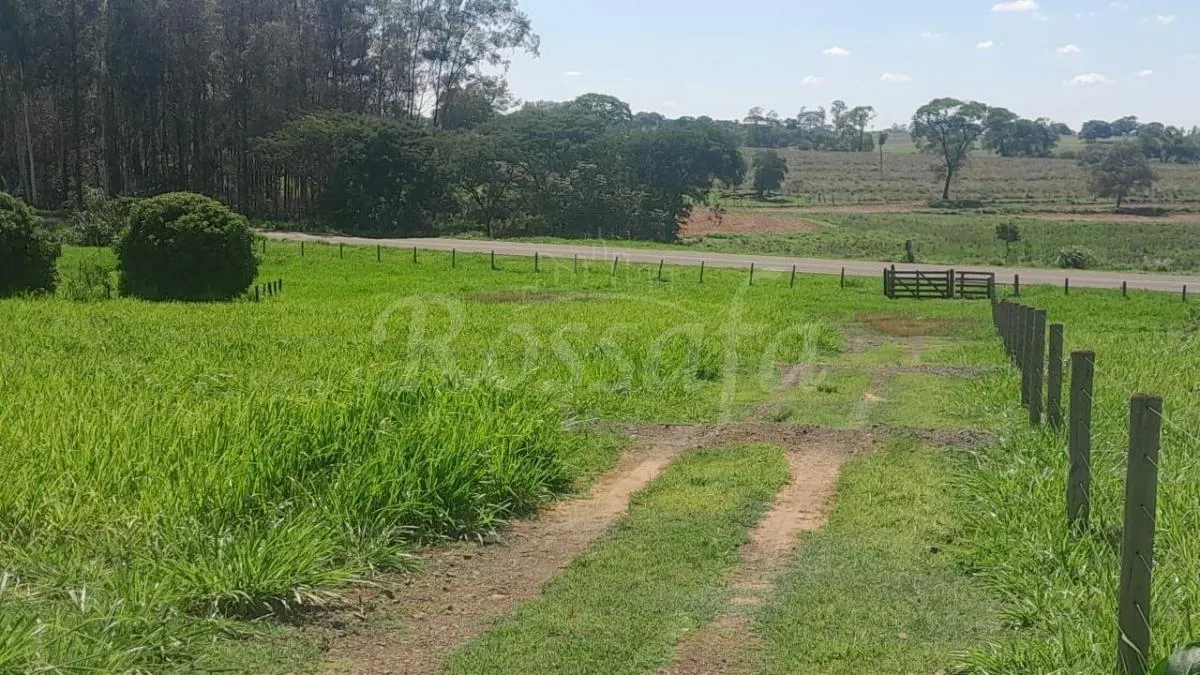 Sítio à venda de 4 ha em Santana da Ponte Pensa, SP, Brasil