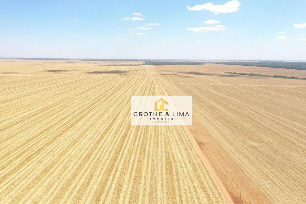 Fazenda à venda de 3.600 ha em Querência, MT, Brasil