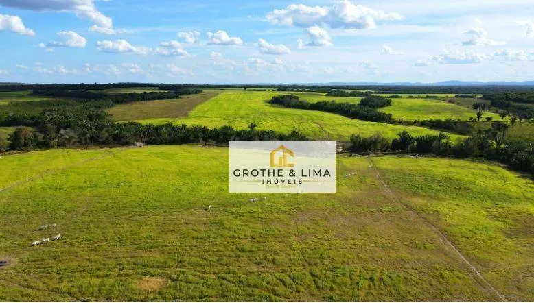 Fazenda à venda de 4.393 ha em Ananás, TO, Brasil