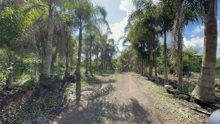 Sítio à venda de 3 ha em Igrejinha, RS, Brasil