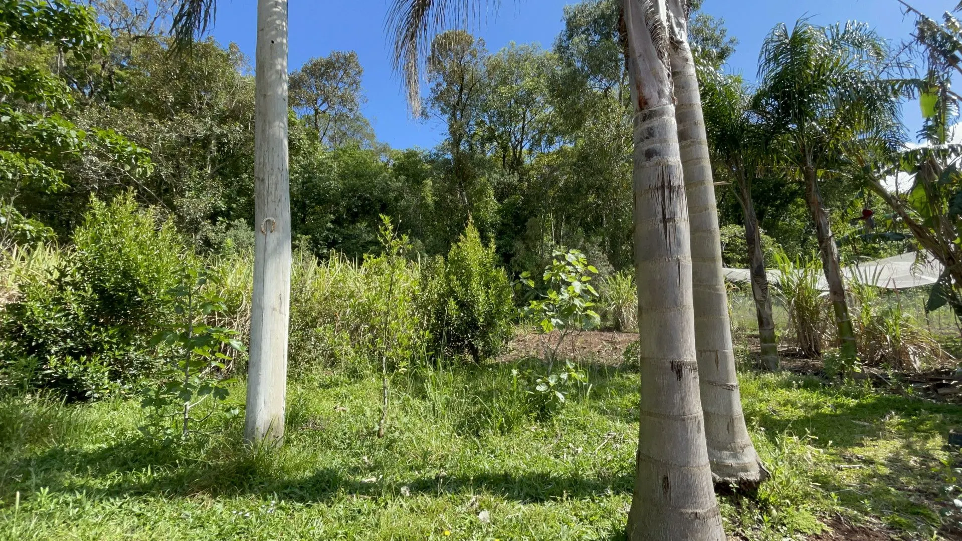 Sítio à venda de 3 ha em Igrejinha, RS, Brasil