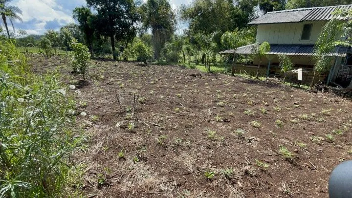 Sítio à venda de 3 ha em Igrejinha, RS, Brasil
