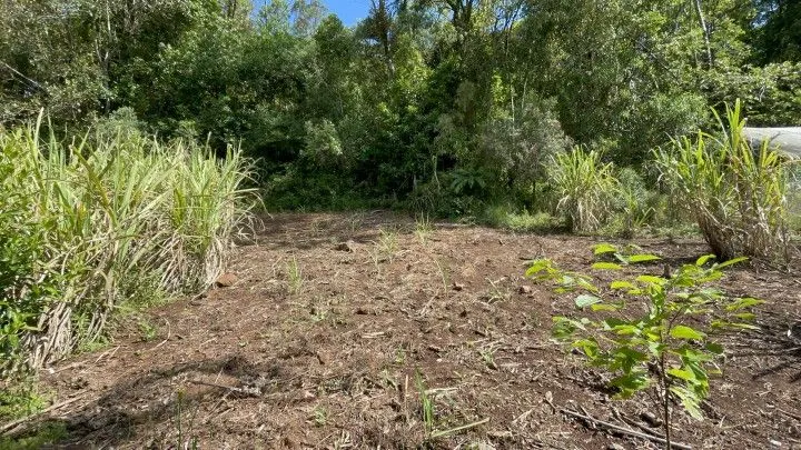 Sítio à venda de 3 ha em Igrejinha, RS, Brasil