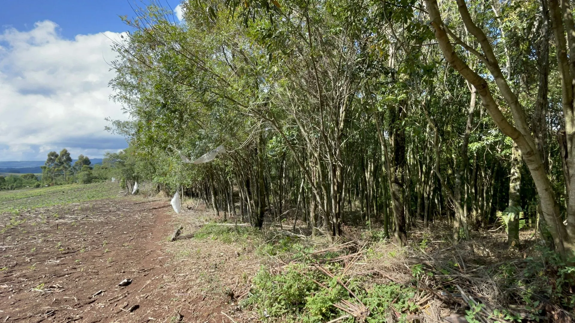 Sítio à venda de 3 ha em Igrejinha, RS, Brasil