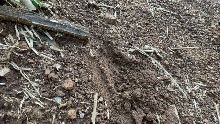 Sítio à venda de 3 ha em Igrejinha, RS, Brasil
