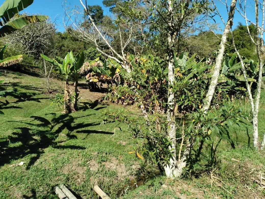 Country home for sale of 5 acres in Paraibuna, SP, Brazil