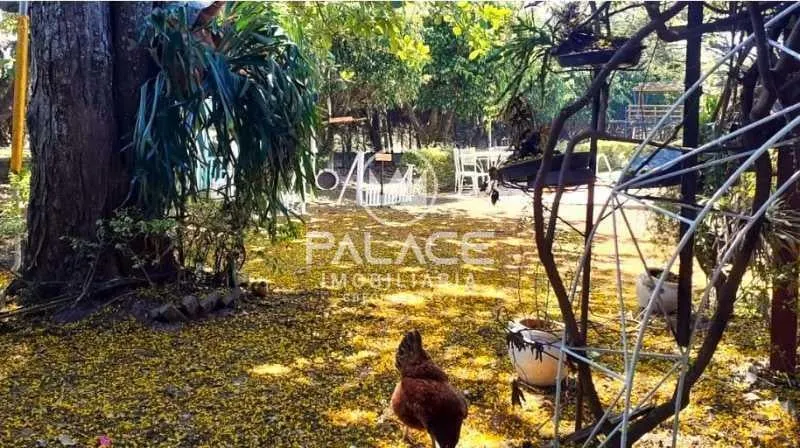 Chácara à venda de 5.000 m² em São Pedro, SP, Brasil