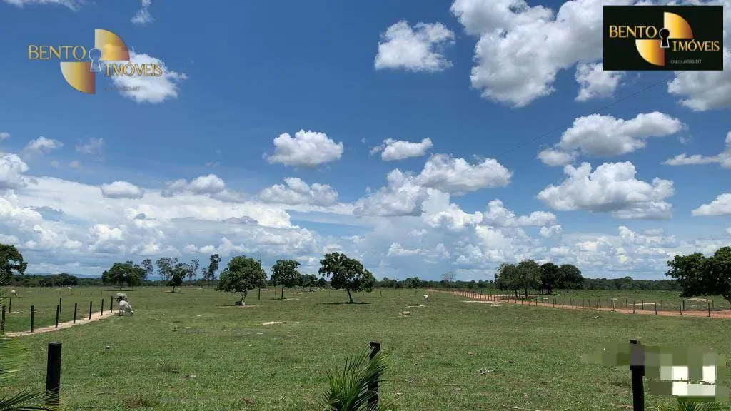 Fazenda à venda de 485 ha em Cuiabá, MT, Brasil