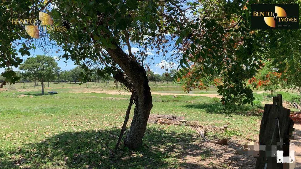 Fazenda à venda de 485 ha em Cuiabá, MT, Brasil