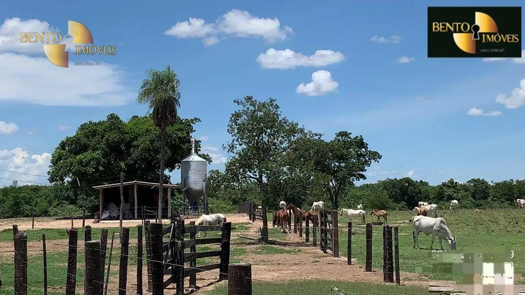 Fazenda à venda de 485 ha em Cuiabá, MT, Brasil