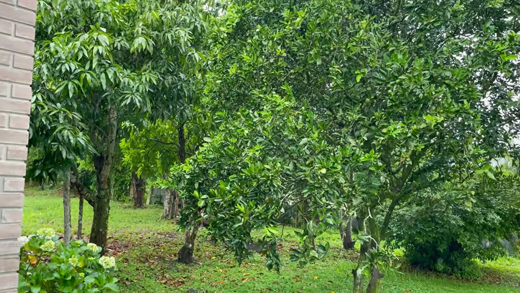 Country home for sale of 2,500 m² in Santo Antônio da Patrulha, RS, Brazil
