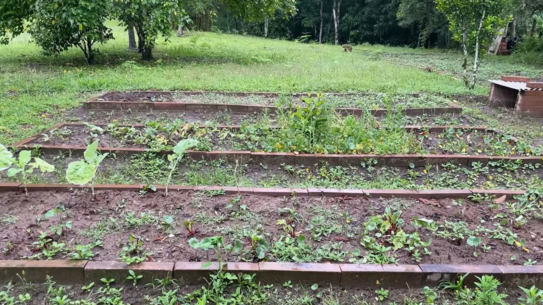 Country home for sale of 2,500 m² in Santo Antônio da Patrulha, RS, Brazil
