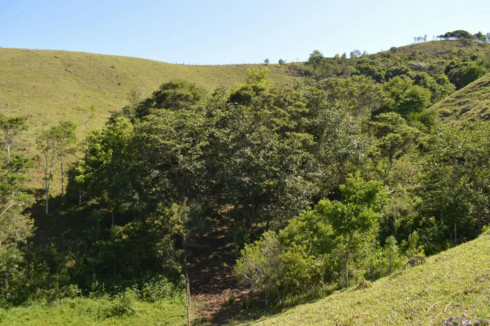 Terreno à venda de 10 ha em Cunha, SP, Brasil