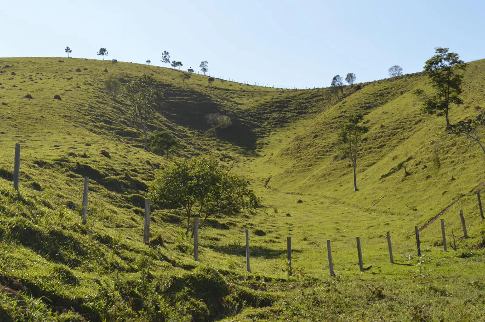 Terreno à venda de 10 ha em Cunha, SP, Brasil
