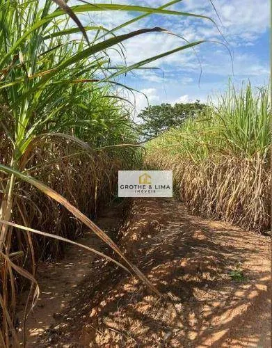 Fazenda à venda e para Arrendar de 415 ha em Panorama, SP, Brasil