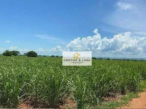 Fazenda à venda e para Arrendar de 415 ha em Panorama, SP, Brasil