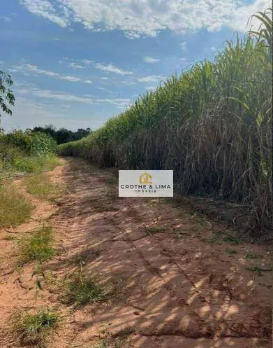Fazenda à venda e para Arrendar de 415 ha em Panorama, SP, Brasil