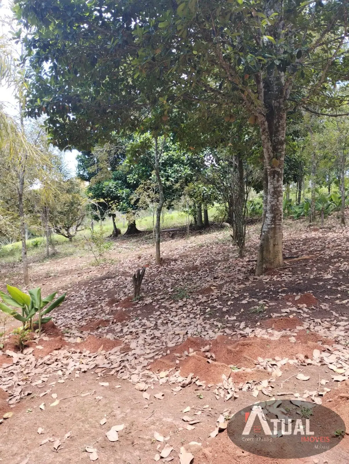 Terreno à venda de 4 ha em Igaratá, SP, Brasil