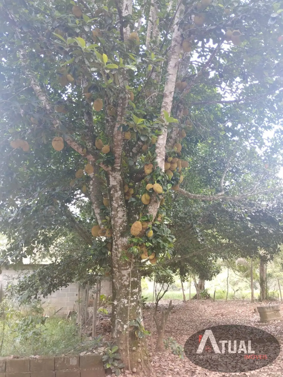 Terreno à venda de 4 ha em Igaratá, SP, Brasil