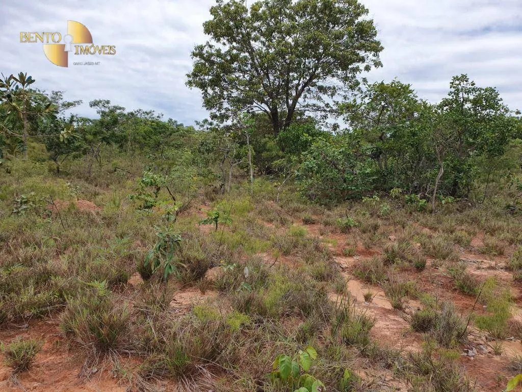 Fazenda à venda de 1.930 ha em Guiratinga, MT, Brasil