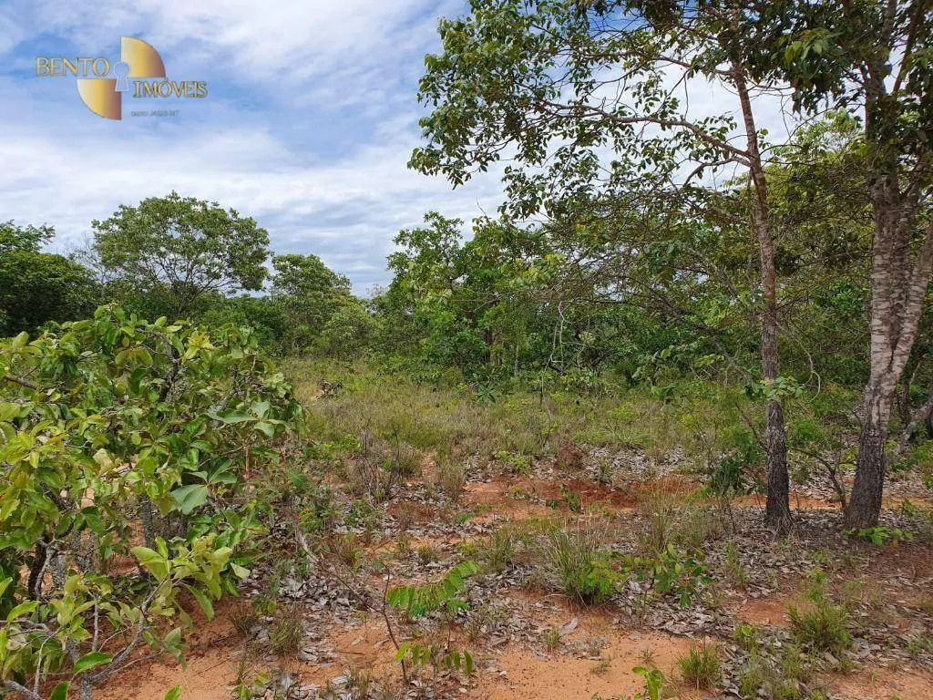 Fazenda à venda de 1.930 ha em Guiratinga, MT, Brasil