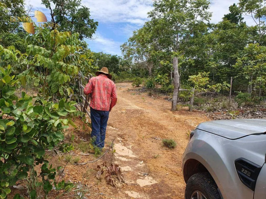 Fazenda à venda de 1.930 ha em Guiratinga, MT, Brasil