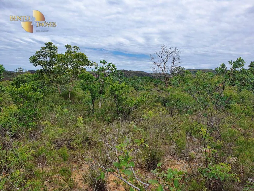 Fazenda à venda de 1.930 ha em Guiratinga, MT, Brasil