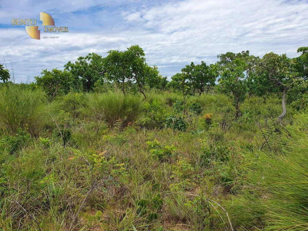 Fazenda à venda de 1.930 ha em Guiratinga, MT, Brasil