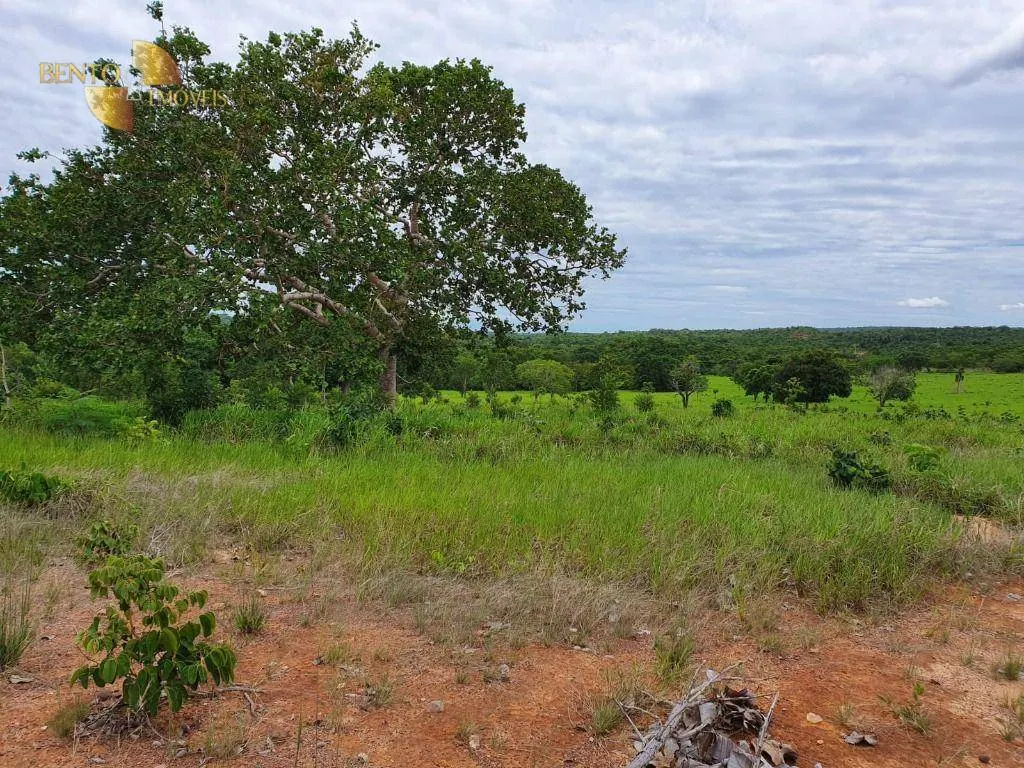 Fazenda à venda de 1.930 ha em Guiratinga, MT, Brasil