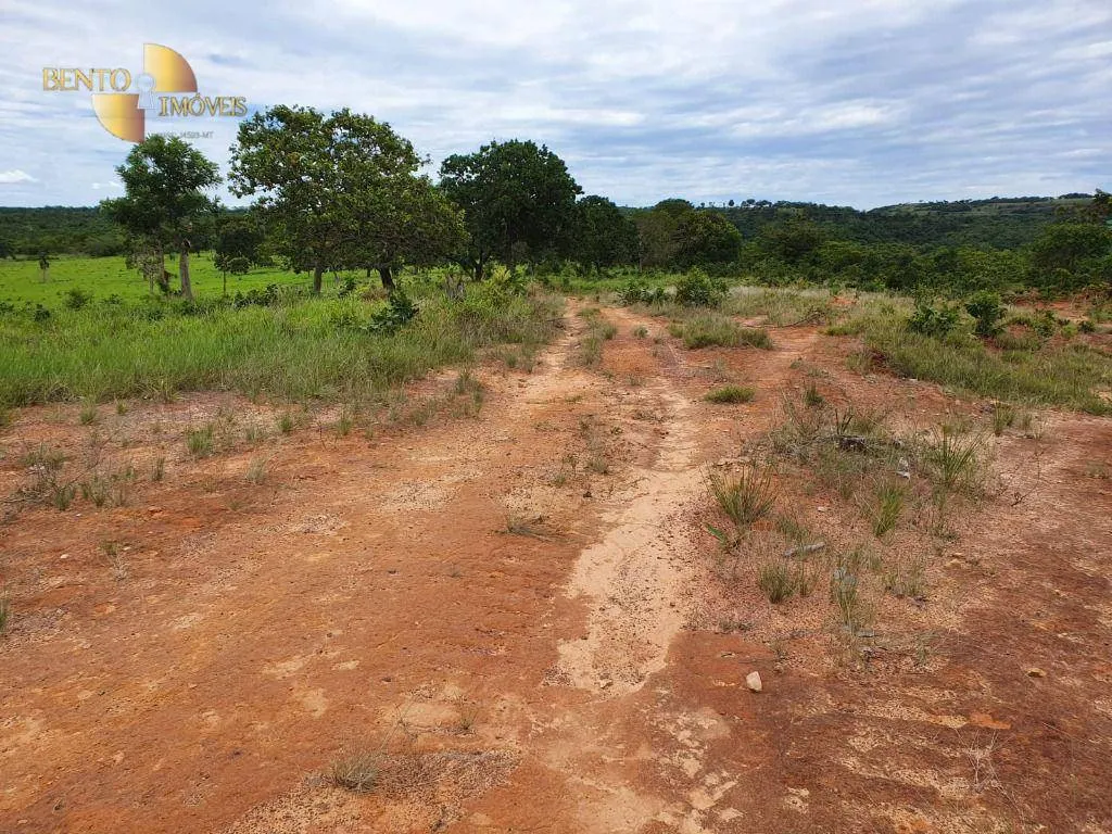 Fazenda à venda de 1.930 ha em Guiratinga, MT, Brasil
