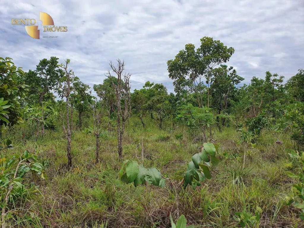 Fazenda à venda de 1.930 ha em Guiratinga, MT, Brasil