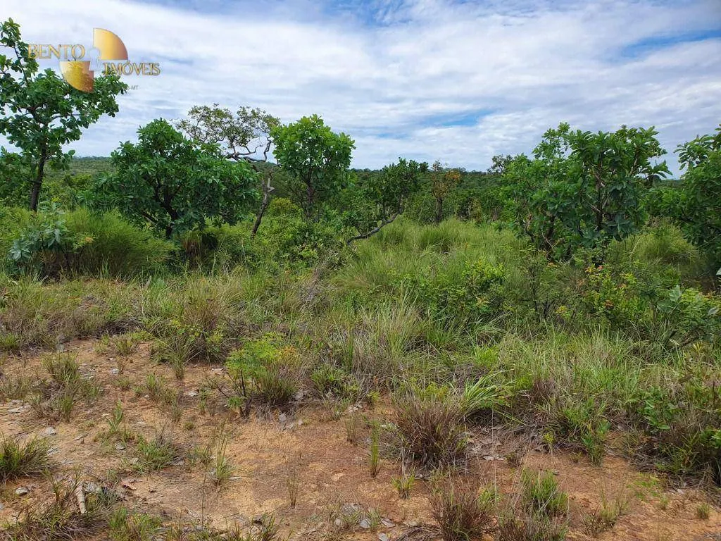 Fazenda à venda de 1.930 ha em Guiratinga, MT, Brasil