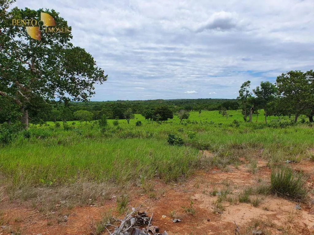 Fazenda à venda de 1.930 ha em Guiratinga, MT, Brasil
