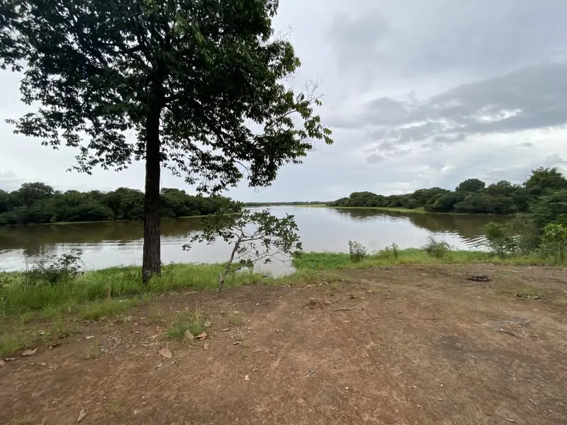 Plot for sale of 75 acres in Urucará, AM, Brazil
