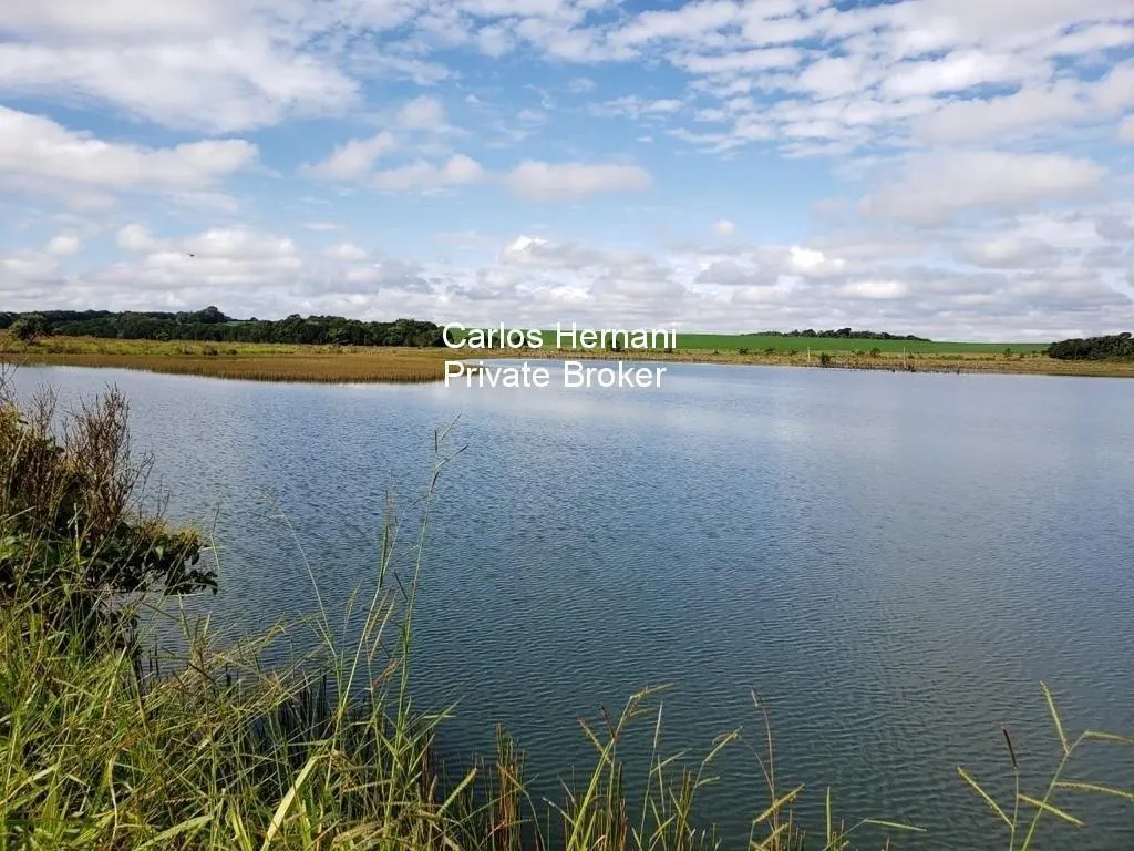 Fazenda à venda de 2.178 ha em Paranapanema, SP, Brasil