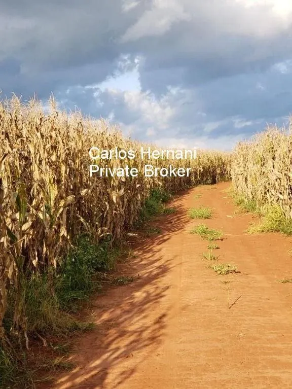 Fazenda à venda de 2.178 ha em Paranapanema, SP, Brasil