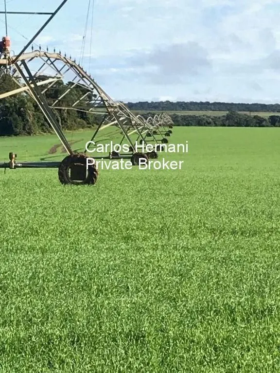 Fazenda à venda de 2.178 ha em Paranapanema, SP, Brasil