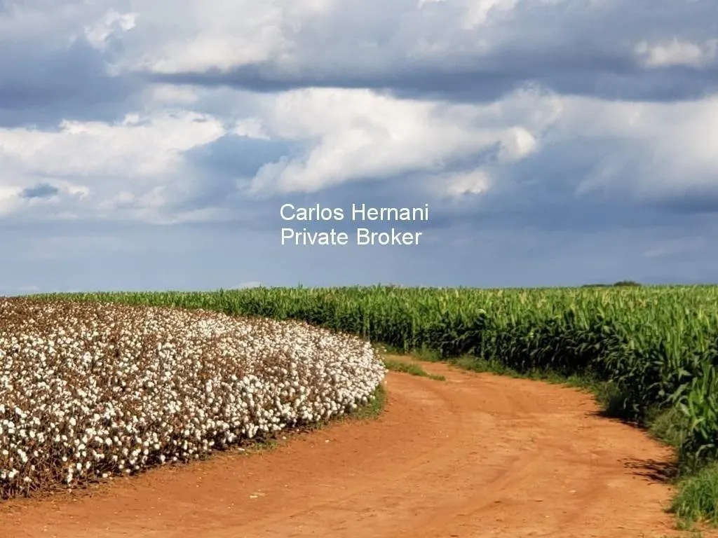 Fazenda à venda de 2.178 ha em Paranapanema, SP, Brasil