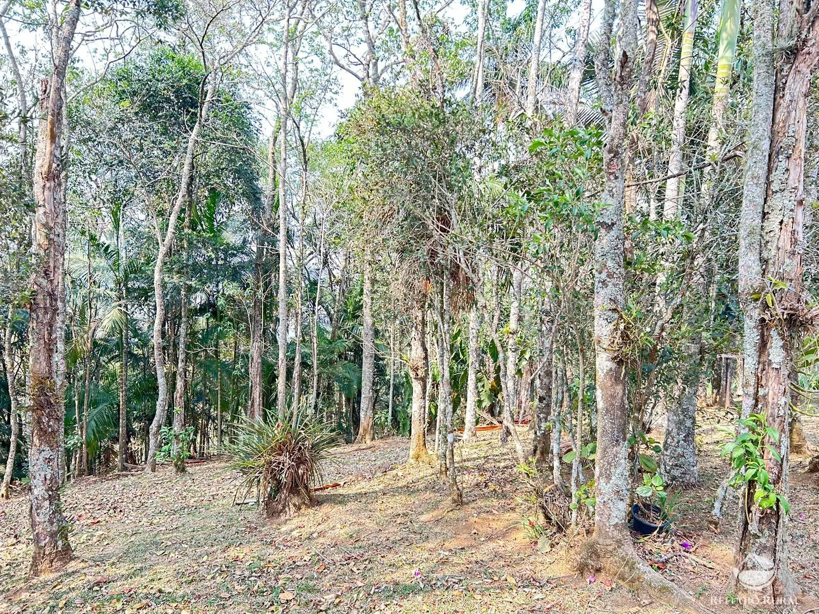 Sítio à venda de 36 ha em São José dos Campos, SP, Brasil