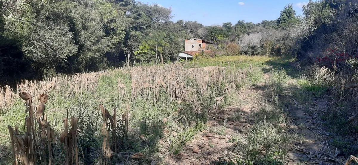 Sítio à venda de 4 ha em Sarapuí, SP, Brasil