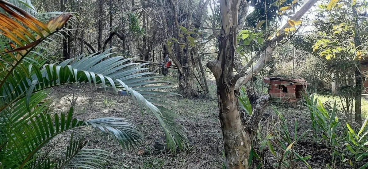 Sítio à venda de 4 ha em Sarapuí, SP, Brasil
