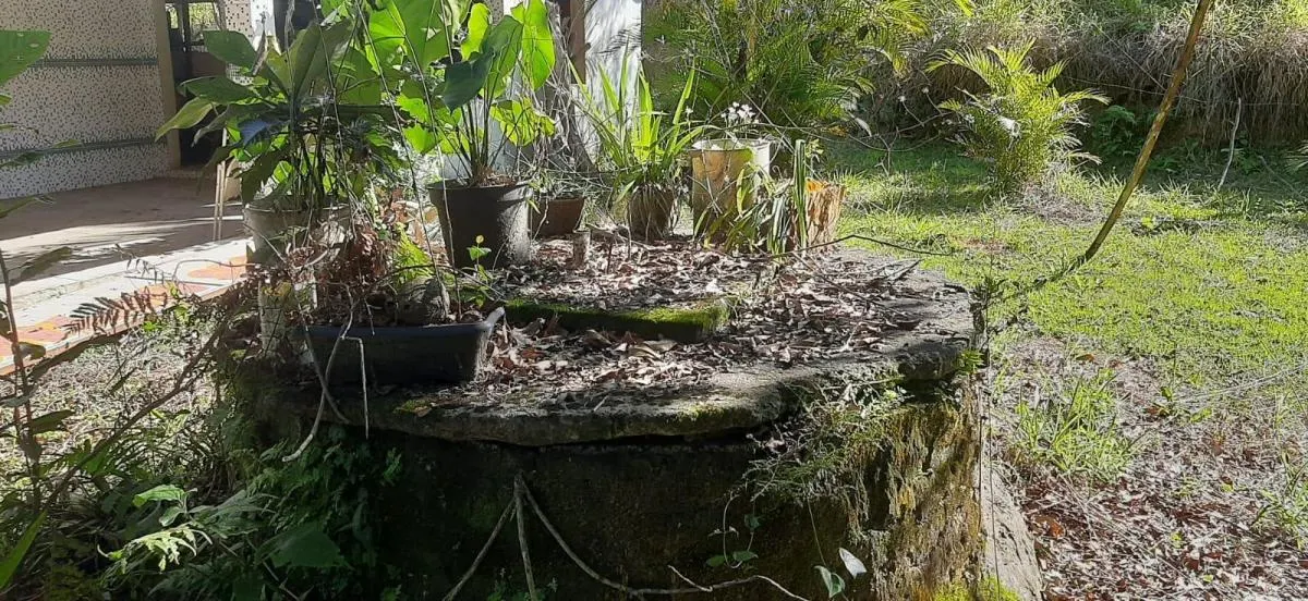 Sítio à venda de 4 ha em Sarapuí, SP, Brasil