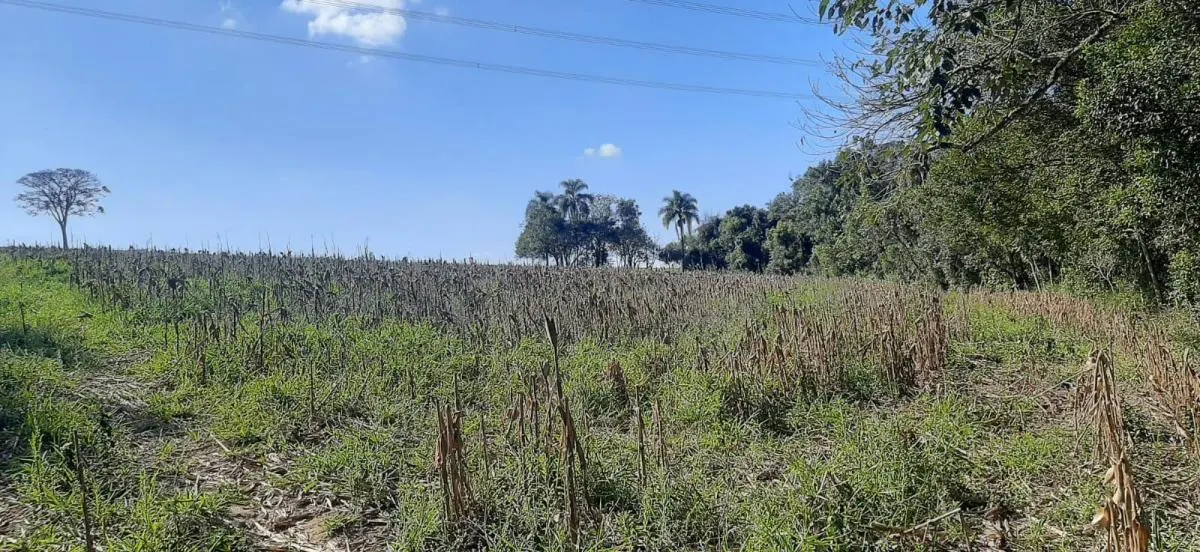 Sítio à venda de 4 ha em Sarapuí, SP, Brasil