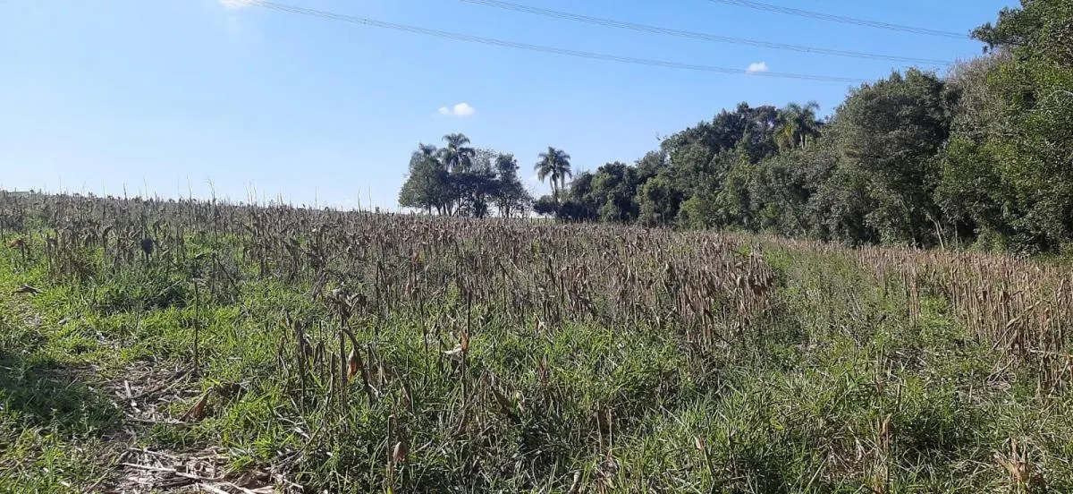 Sítio à venda de 4 ha em Sarapuí, SP, Brasil